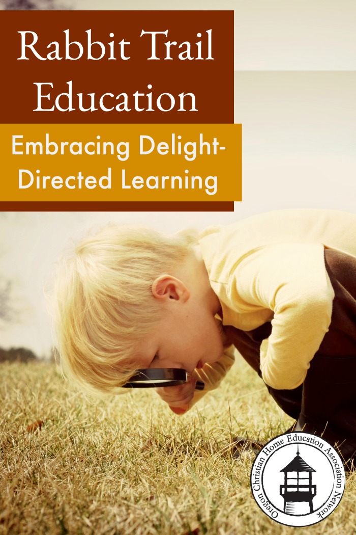 Struggling to stay on task in your homeschool? Embrace delight-directed learning! Great encouragement for exploring in your lessons. 