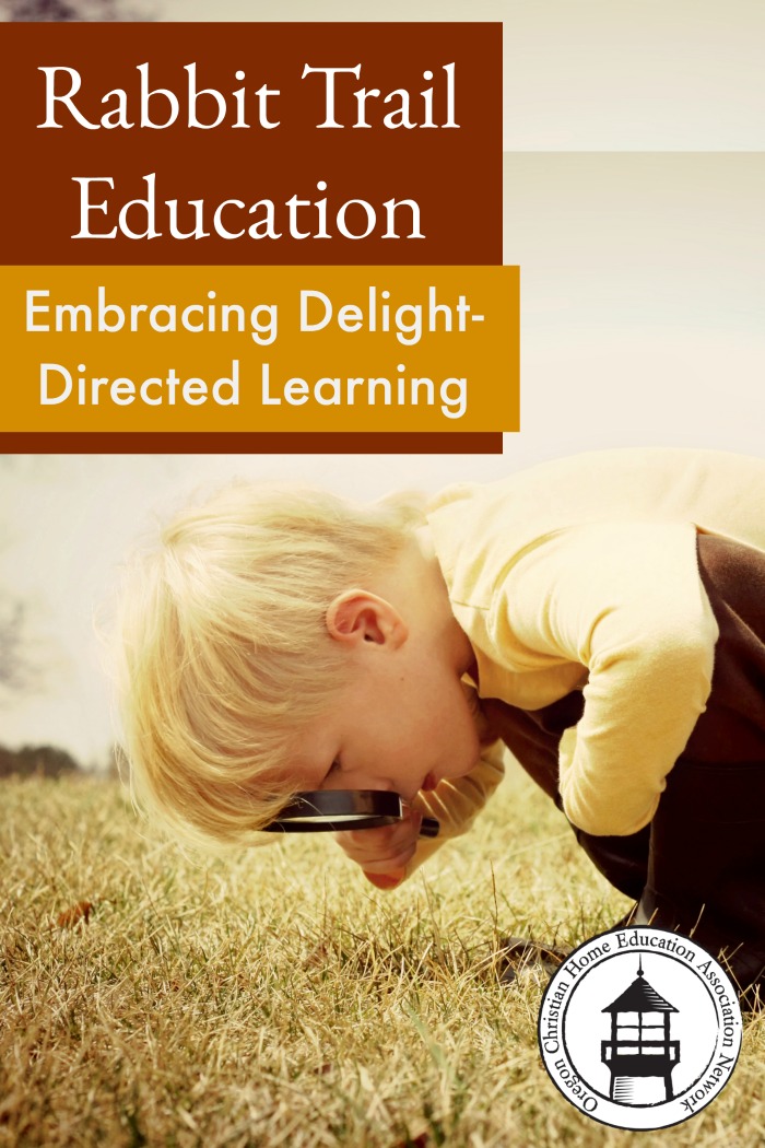 Struggling to stay on task in your homeschool? Embrace delight-directed learning! Great encouragement for exploring in your lessons.