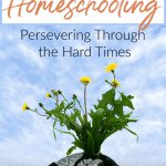 Going through difficult situations in your life right now and not sure if you can continue homeschooling? Hear from this real-life homeschooling mom in Oregon and how they homeschooled through their house burning down. Resilient Homeschooling_ Persevering Through The Hard Times - Homeschooling in Oregon Spotlight with OCEANetwork!
