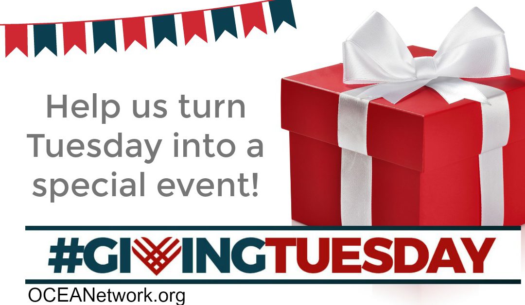 Support OCEANetwork on Giving Tuesday!